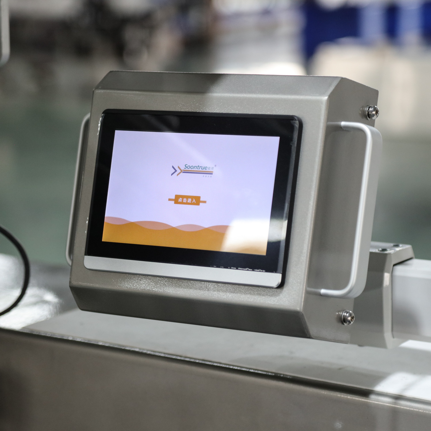 Máquina envasadora de flujo con servomotor completo - SW60E