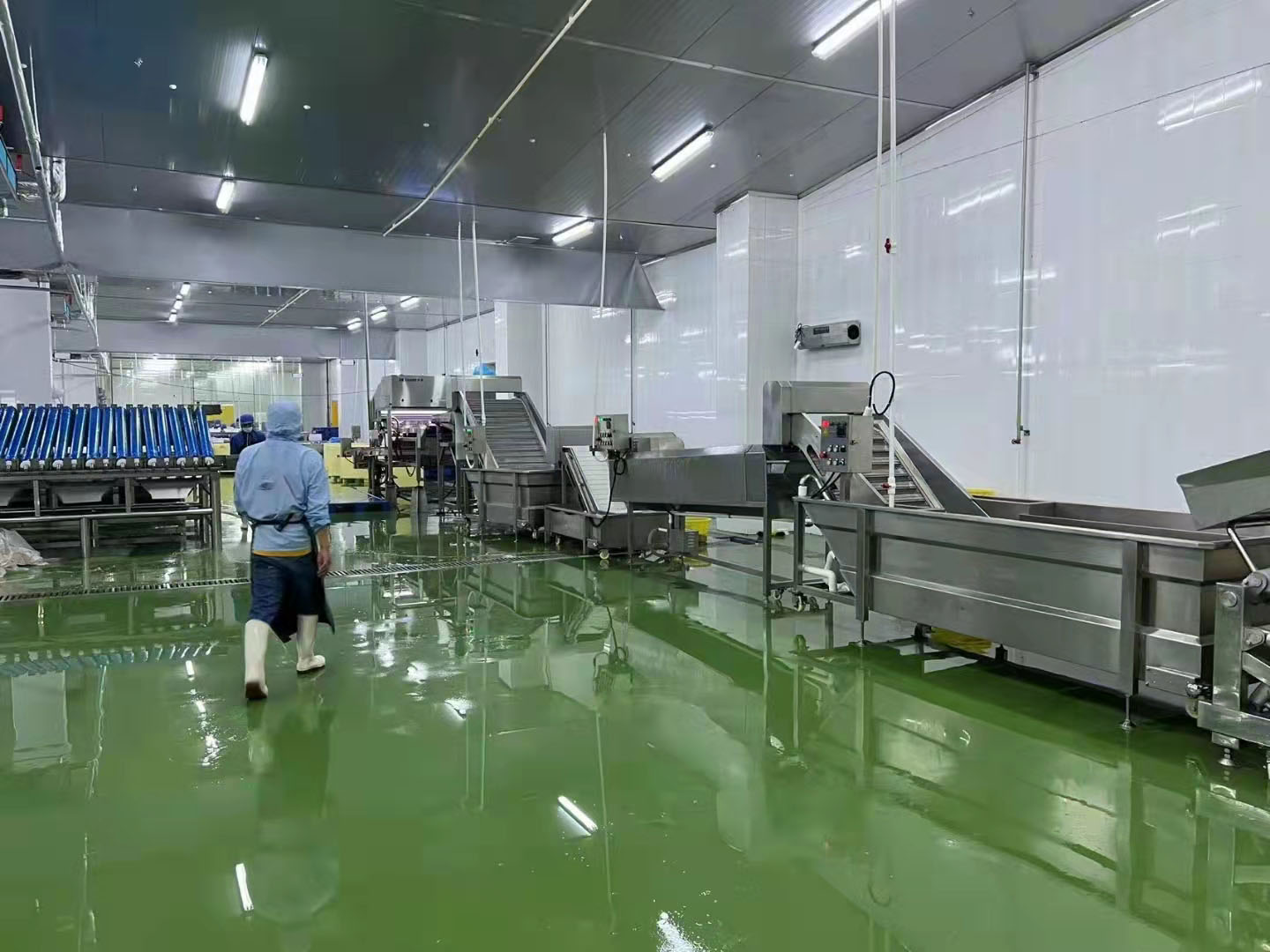 Línea automática de descabezado de camarones SDL100A