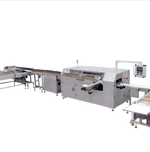 máquina embolsadora y selladora SP300A