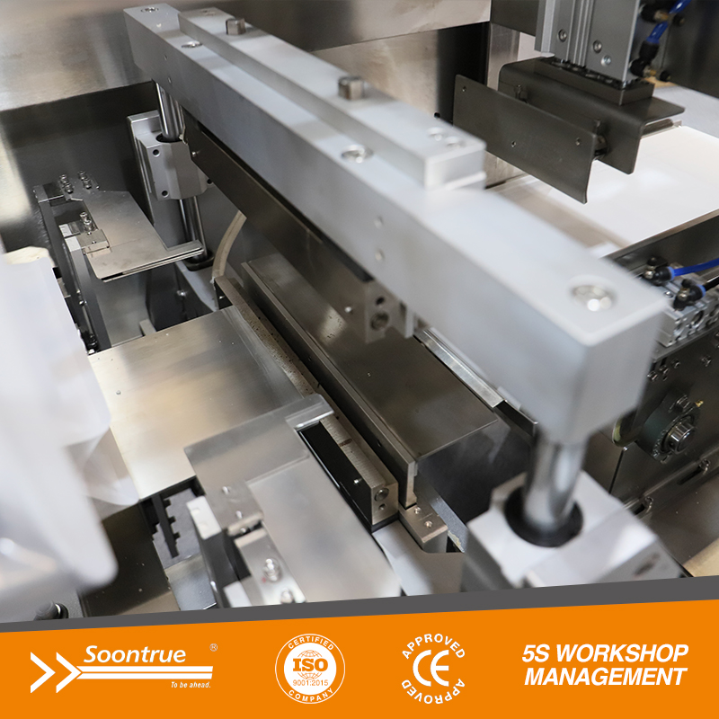 Máquina envasadora al vacío de bolsas prefabricadas