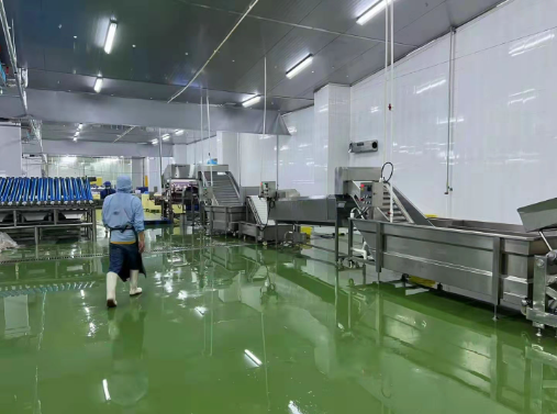 máquinas automáticas descabezadoras de camarones